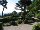view from norwegian wood - organic bed and breakfast